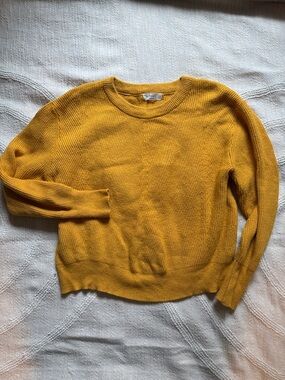 Daisy Yellow fitted Cropped Sweater